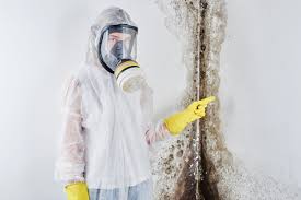 Why You Should Choose Our Mold Remediation Services in Bellefonte, PA